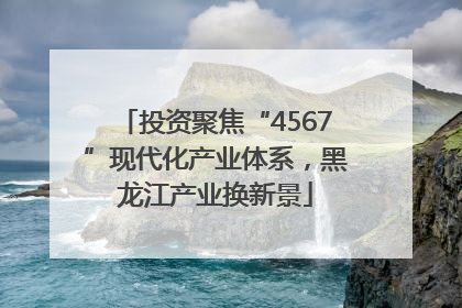 投资聚焦“4567”现代化产业体系，黑龙江产业换新景