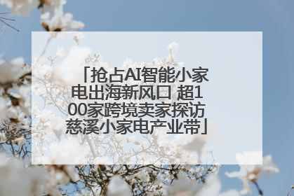 抢占AI智能小家电出海新风口 超100家跨境卖家探访慈溪小家电产业带