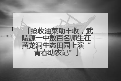 抢收油菜助丰收，武陵源一中数百名师生在黄龙洞生态田园上演“青春助农记”