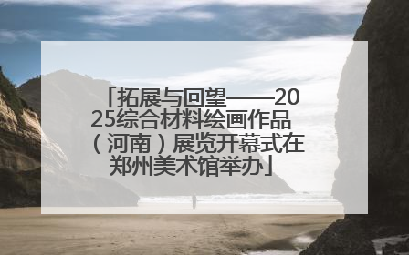 拓展与回望——2025综合材料绘画作品（河南）展览开幕式在郑州美术馆举办