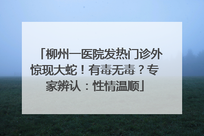 柳州一医院发热门诊外惊现大蛇！有毒无毒？专家辨认：性情温顺