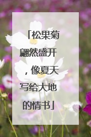 松果菊翩然盛开，像夏天写给大地的情书