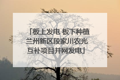 板上发电 板下种植 兰州新区段家川农光互补项目并网发电