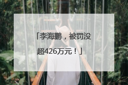 李海鹏，被罚没超426万元！