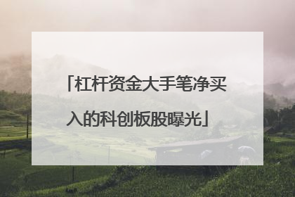 杠杆资金大手笔净买入的科创板股曝光