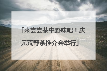 来尝尝茶中野味吧！庆元荒野茶推介会举行