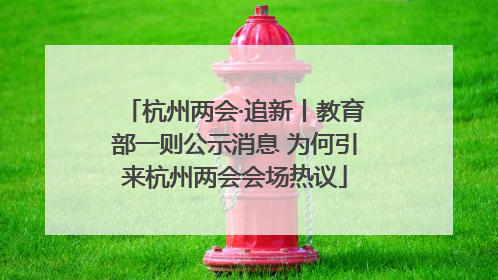 杭州两会·追新丨教育部一则公示消息 为何引来杭州两会会场热议