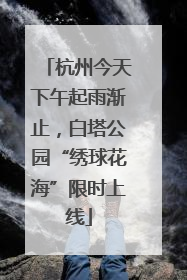 杭州今天下午起雨渐止，白塔公园“绣球花海”限时上线