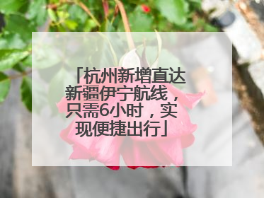 杭州新增直达新疆伊宁航线，只需6小时，实现便捷出行