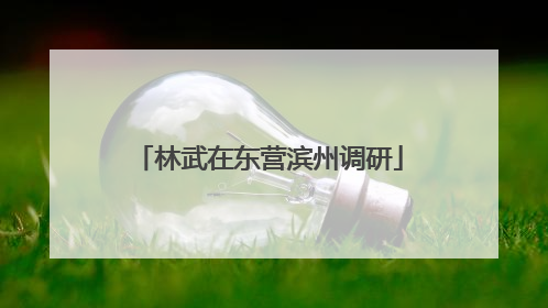 林武在东营滨州调研