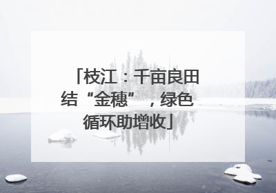 枝江：千亩良田结“金穗”，绿色循环助增收