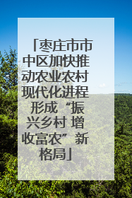 枣庄市市中区加快推动农业农村现代化进程 形成“振兴乡村 增收富农”新格局