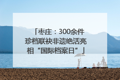 枣庄：300余件珍档联袂非遗绝活亮相“国际档案日”