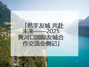 携手友城 共赴未来——2025黄河口国际友城合作交流会侧记