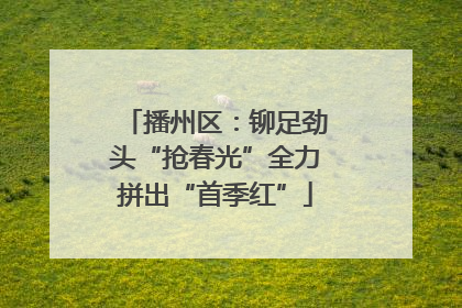 播州区：铆足劲头“抢春光”全力拼出“首季红”