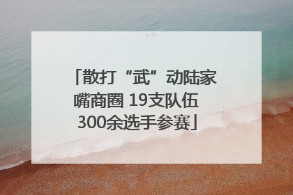 散打“武”动陆家嘴商圈 19支队伍300余选手参赛