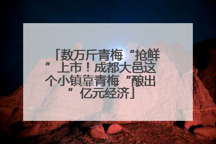 数万斤青梅“抢鲜”上市！成都大邑这个小镇靠青梅“酿出”亿元经济