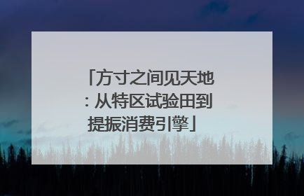 方寸之间见天地：从特区试验田到提振消费引擎