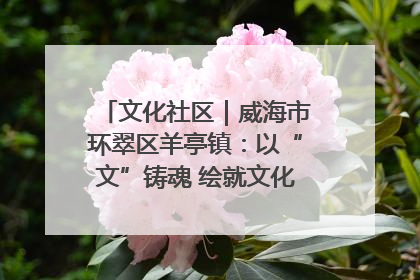 文化社区｜威海市环翠区羊亭镇：以“文”铸魂 绘就文化社区新画卷