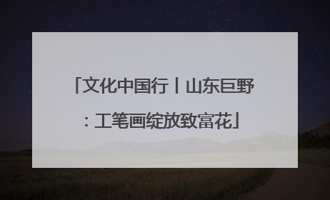 文化中国行丨山东巨野：工笔画绽放致富花