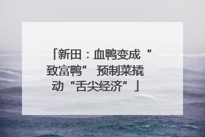 新田：血鸭变成“致富鸭” 预制菜撬动“舌尖经济”