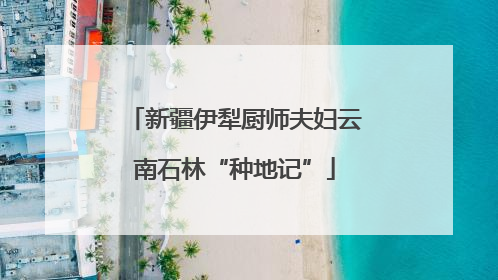 新疆伊犁厨师夫妇云南石林“种地记”