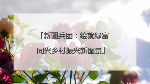 新疆兵团：绘就绿富同兴乡村振兴新图景
