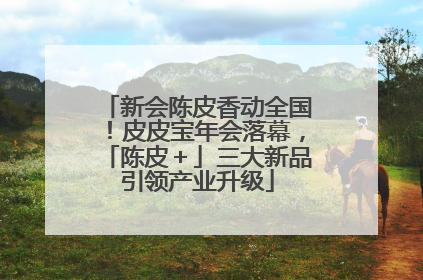 新会陈皮香动全国！皮皮宝年会落幕，「陈皮＋」三大新品引领产业升级