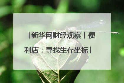 新华网财经观察丨便利店：寻找生存坐标