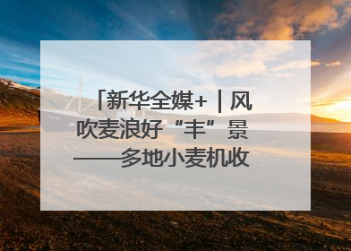 新华全媒+｜风吹麦浪好“丰”景——多地小麦机收一线见闻