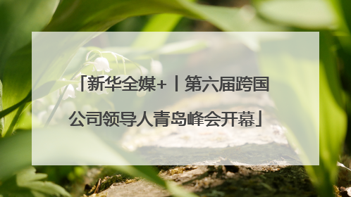 新华全媒+丨第六届跨国公司领导人青岛峰会开幕