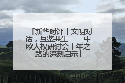 新华时评丨文明对话，互鉴共生——中欧人权研讨会十年之路的深刻启示