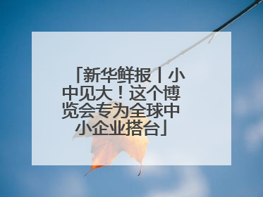新华鲜报丨小中见大！这个博览会专为全球中小企业搭台