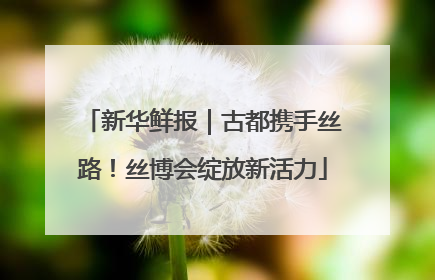 新华鲜报｜古都携手丝路！丝博会绽放新活力
