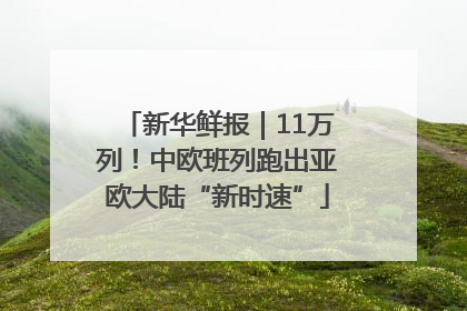 新华鲜报｜11万列！中欧班列跑出亚欧大陆“新时速”