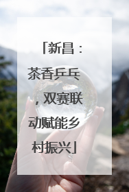 新昌：茶香乒乓，双赛联动赋能乡村振兴
