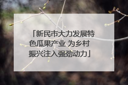 新民市大力发展特色瓜果产业 为乡村振兴注入强劲动力