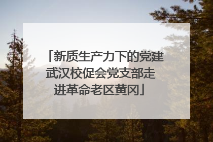新质生产力下的党建 武汉校促会党支部走进革命老区黄冈