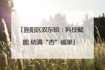 旌阳区双东镇：科技赋能 结满“杏”福果