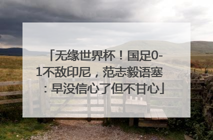 无缘世界杯！国足0-1不敌印尼，范志毅语塞：早没信心了但不甘心