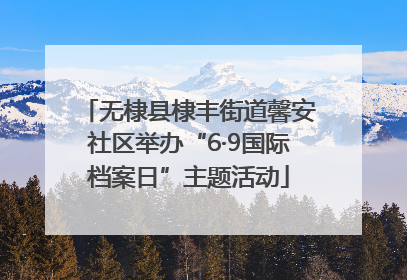 无棣县棣丰街道馨安社区举办“6·9国际档案日”主题活动