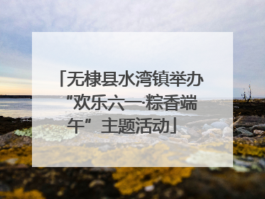 无棣县水湾镇举办“欢乐六一·粽香端午”主题活动