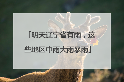 明天辽宁省有雨，这些地区中雨大雨暴雨