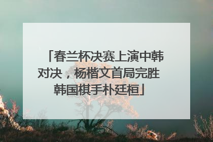 春兰杯决赛上演中韩对决，杨楷文首局完胜韩国棋手朴廷桓