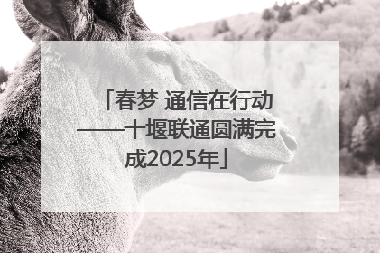 春梦 通信在行动——十堰联通圆满完成2025年