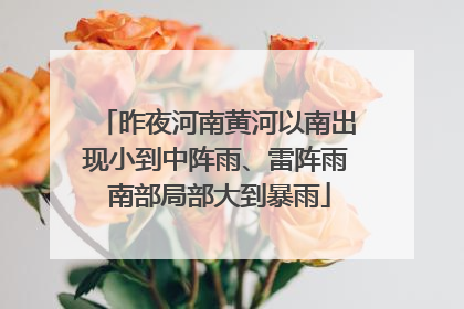 昨夜河南黄河以南出现小到中阵雨、雷阵雨 南部局部大到暴雨