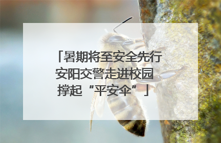 暑期将至安全先行 安阳交警走进校园撑起“平安伞”