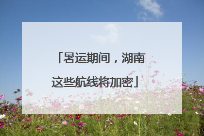 暑运期间，湖南这些航线将加密