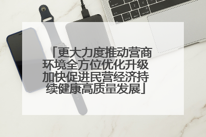 更大力度推动营商环境全方位优化升级加快促进民营经济持续健康高质量发展