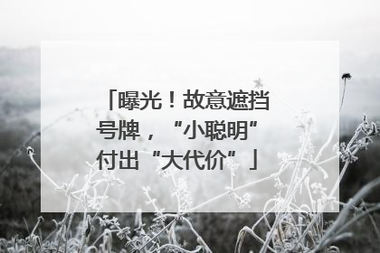 曝光！故意遮挡号牌，“小聪明”付出“大代价”